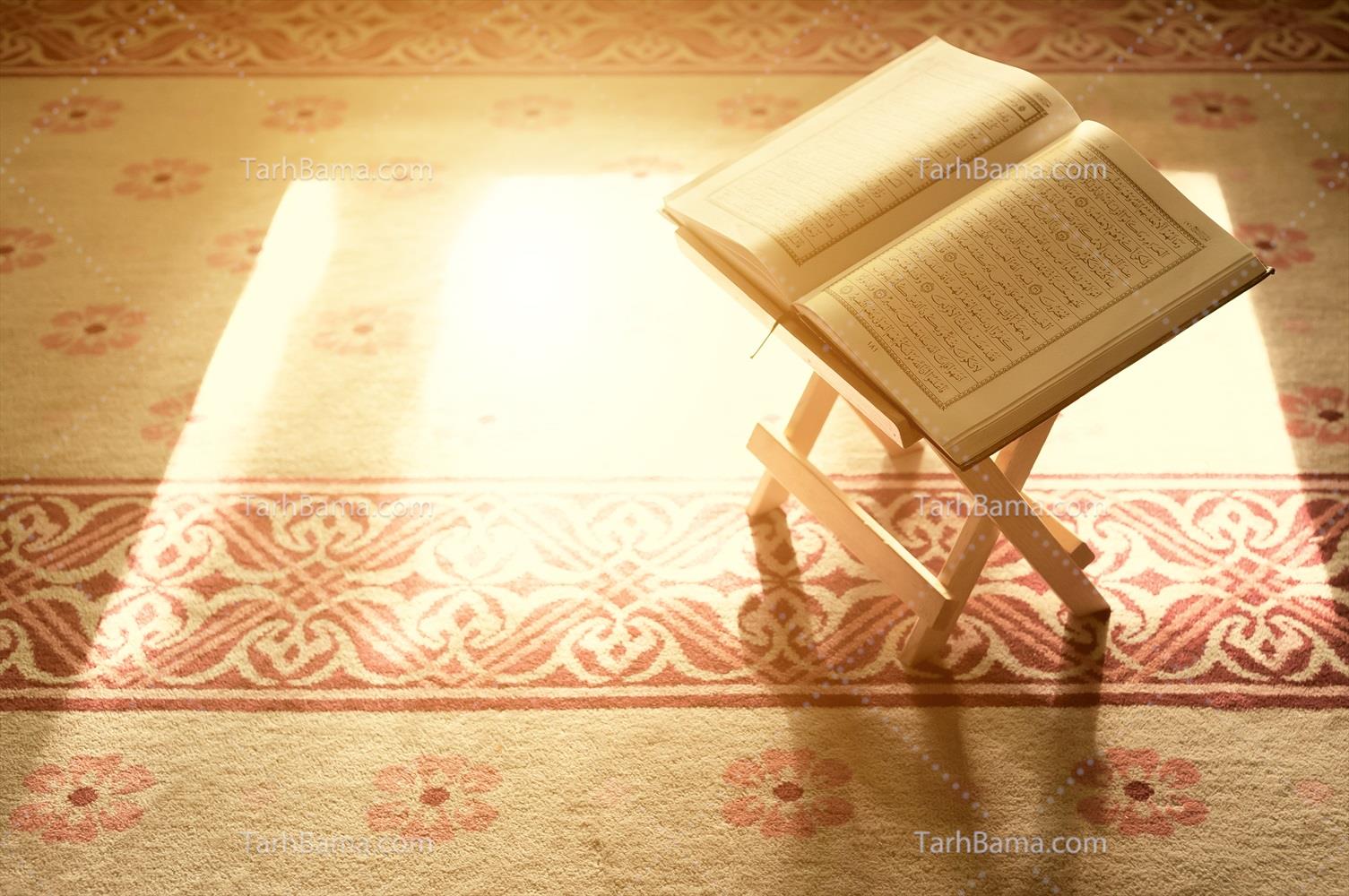 تصاویر کتاب و مجله
